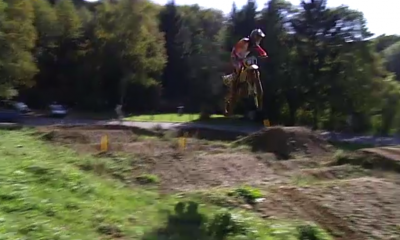 15 Kühe für einen Bentley.png